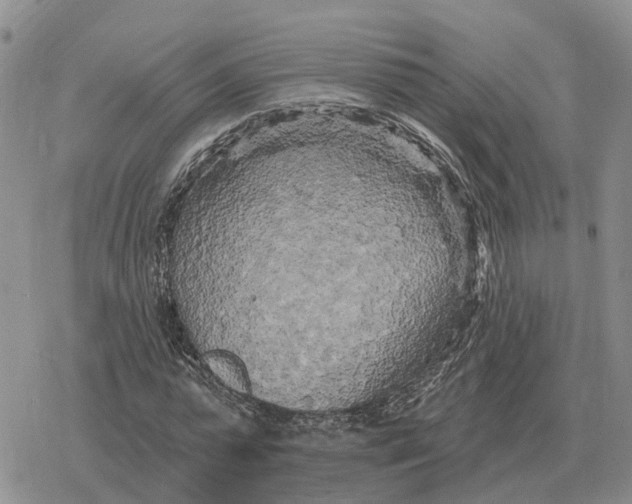 X0000078290775200611251442