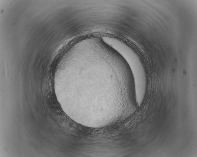 X0000078290776200611251442