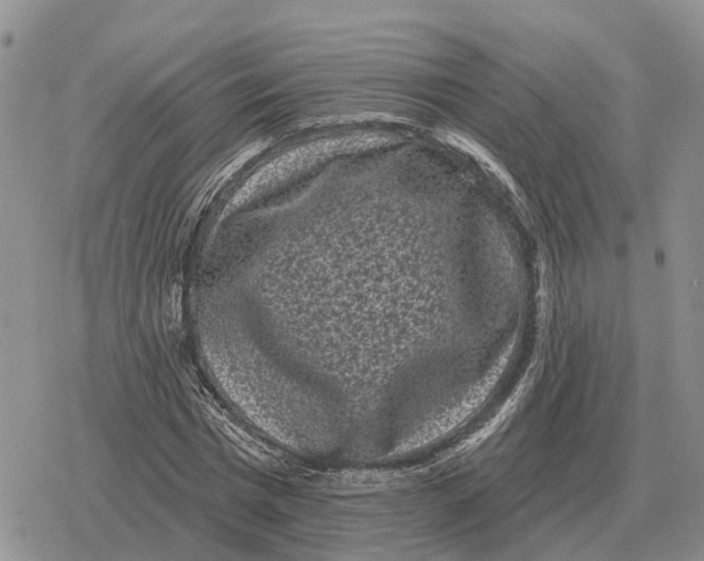 X0000078290777200611251442