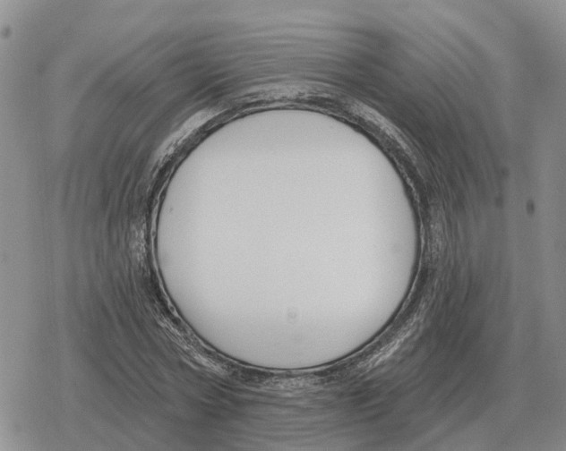 X0000078290778200611251442