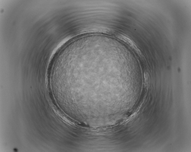 X0000078290780200611251442