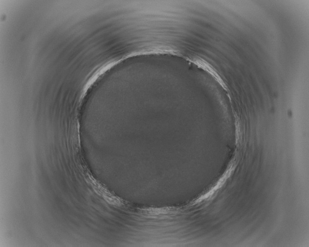 X0000078290781200611251442