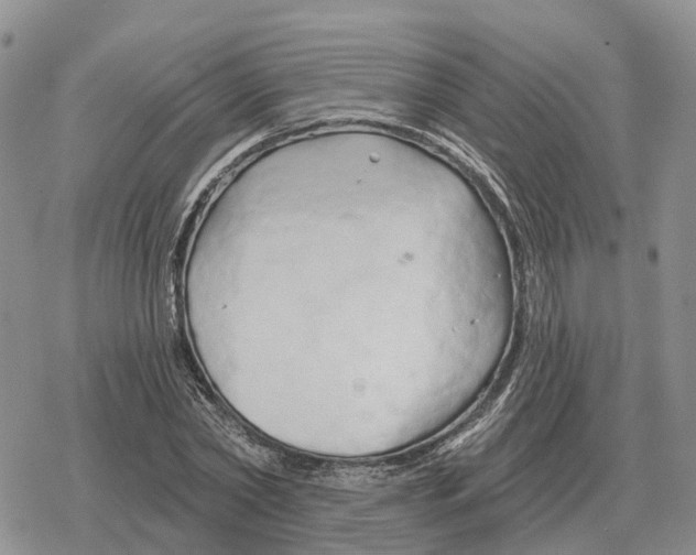 X0000078290782200611251442