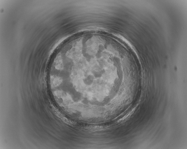 X0000078290783200611251442