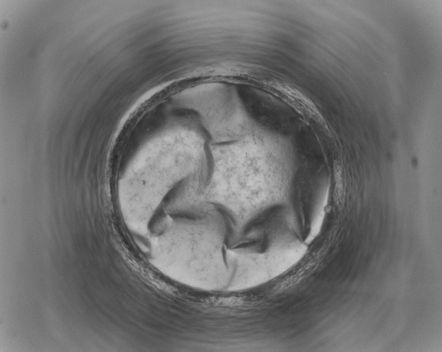 X0000078290784200611251442