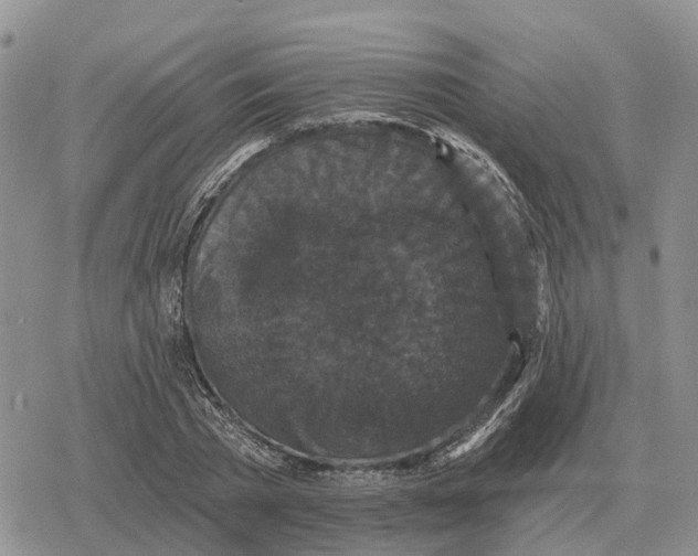 X0000078290785200611251442