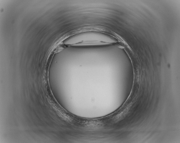 X0000078290786200611251442