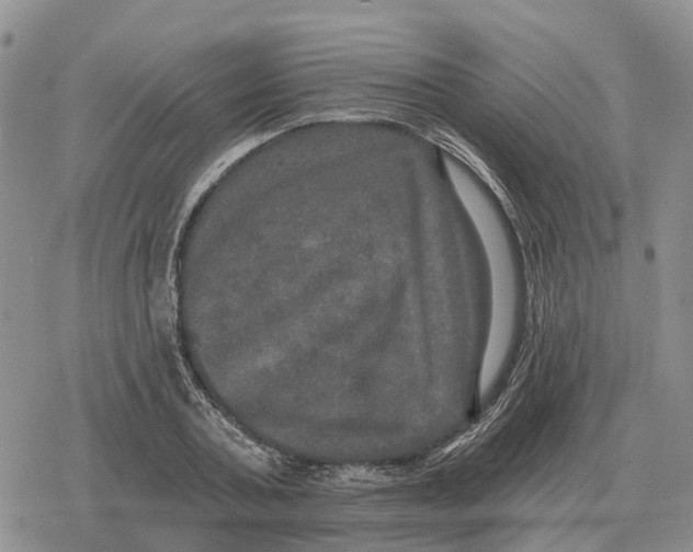 X0000078290787200611251442