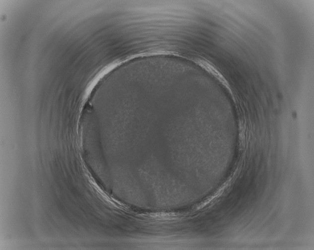 X0000078290789200611251442