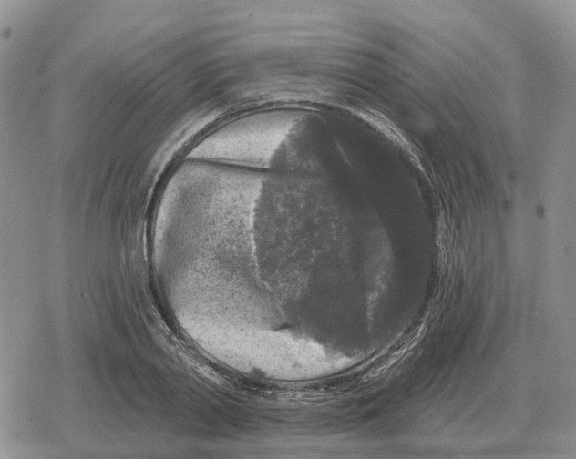 X0000078290790200611251442