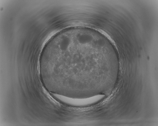 X0000078290791200611251442