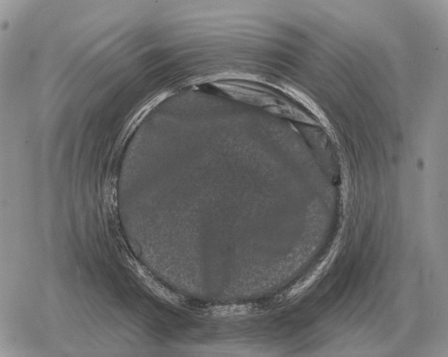 X0000078290793200611251442