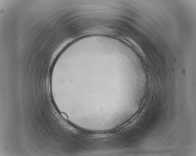 X0000078290796200611251442