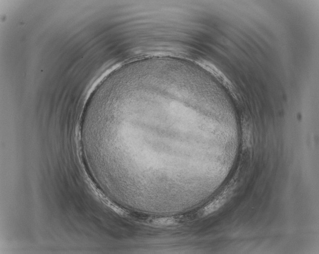 X0000078290798200611251442