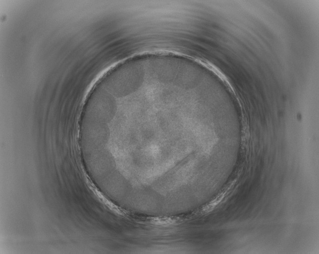 X0000078290799200611251442