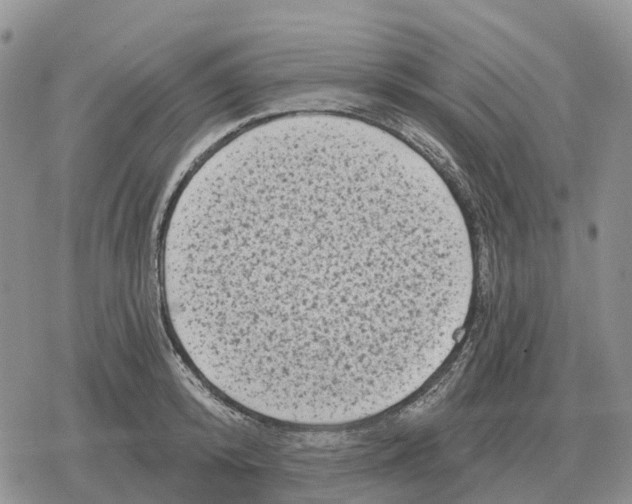 X0000078290800200611251442