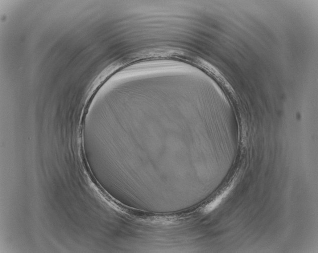 X0000078290802200611251442