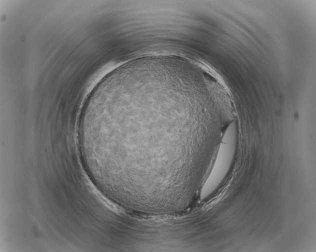 X0000078290803200611251442