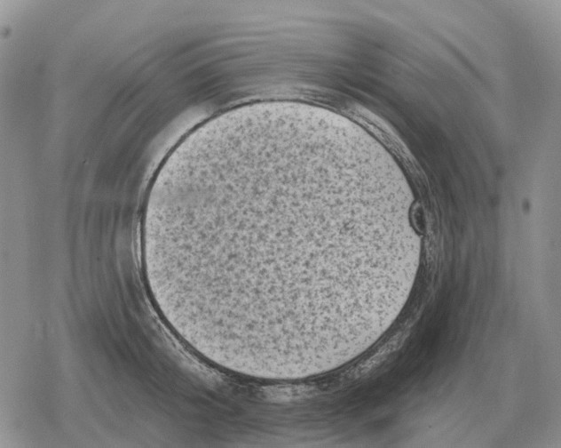 X0000078290804200611251442