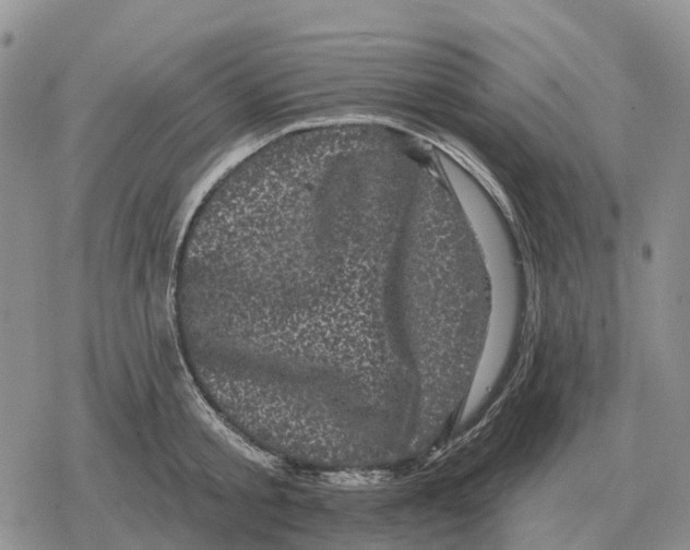 X0000078290805200611251442