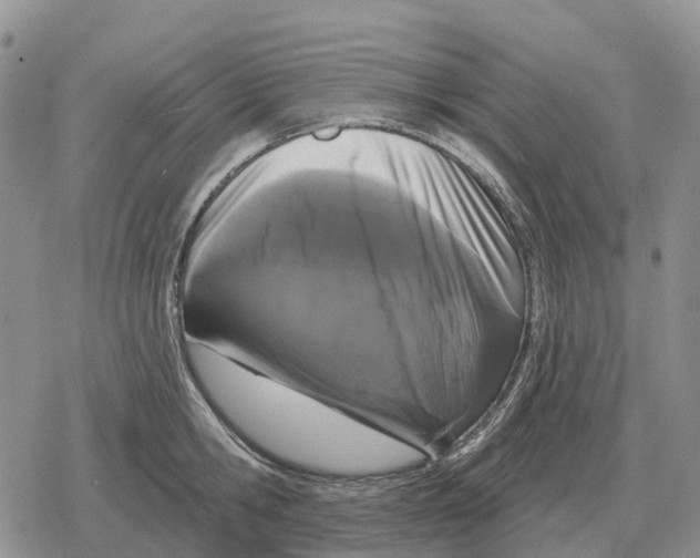 X0000078290806200611251442