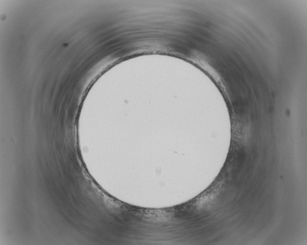 X0000078290807200611251442