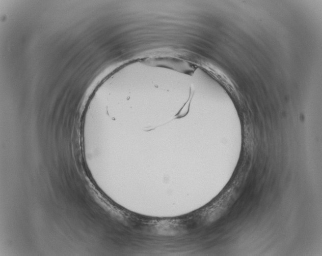 X0000078290808200611251442