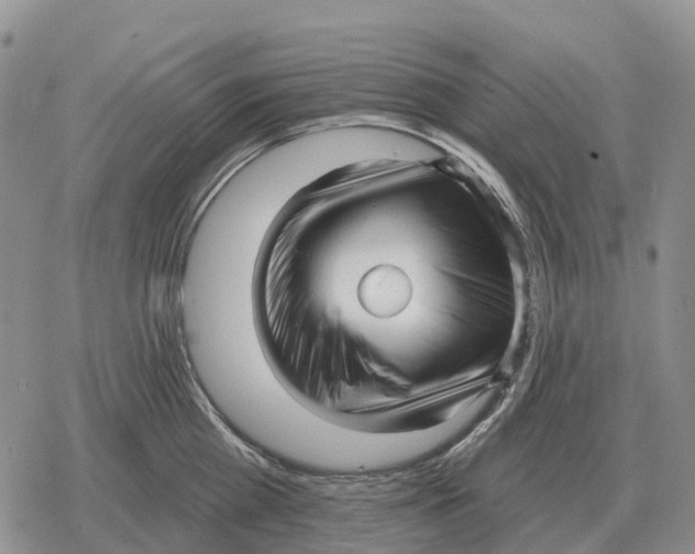 X0000078290809200611251442