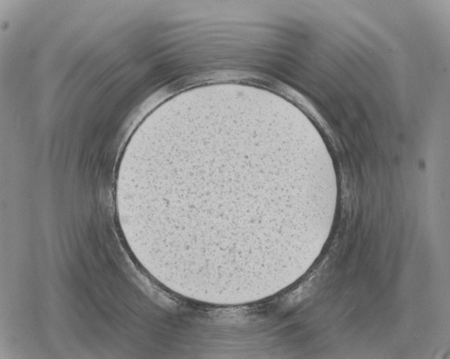 X0000078290810200611251441