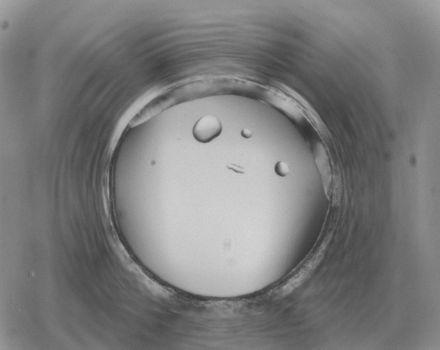 X0000078290812200611251441