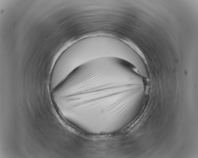 X0000078290813200611251441