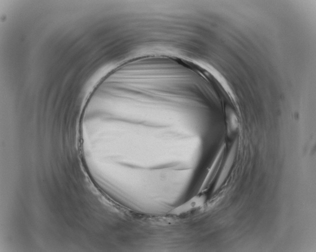 X0000078290815200611251441