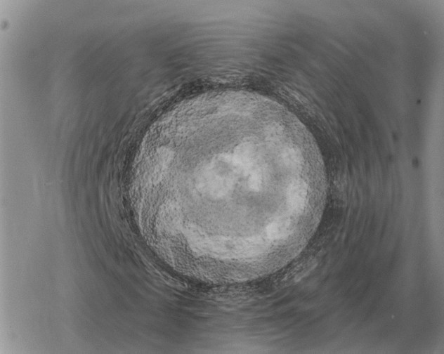 X0000078290817200611251441