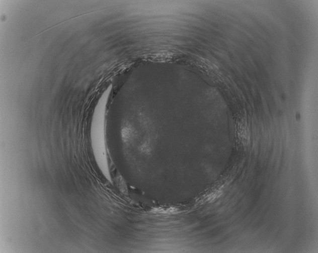 X0000078290818200611251441