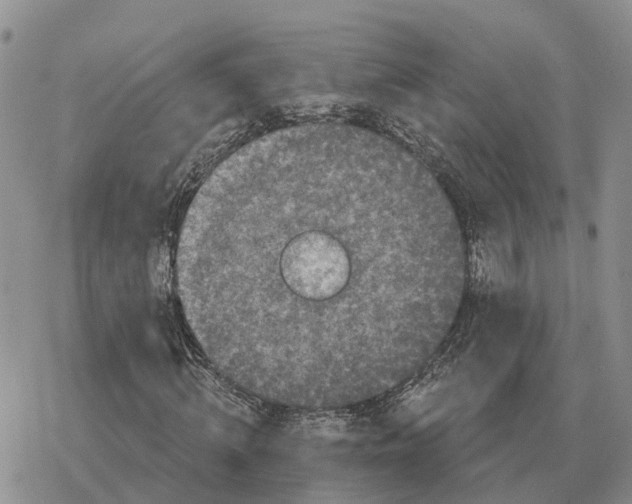 X0000078290820200611251441