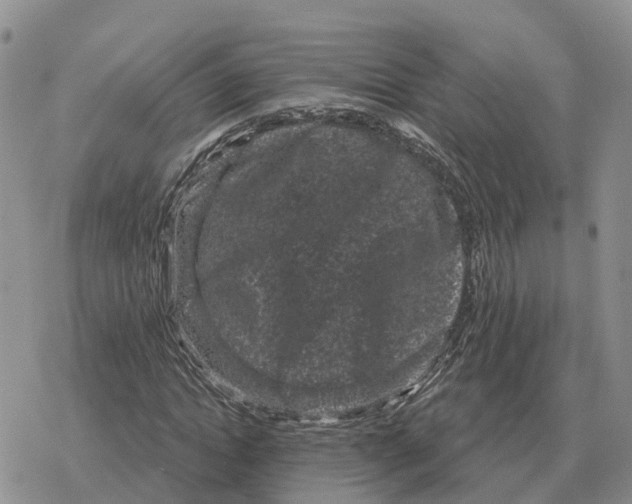 X0000078290822200611251441