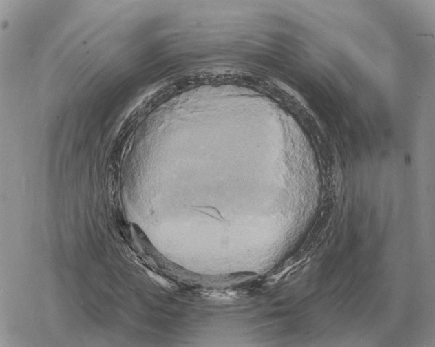 X0000078290823200611251441