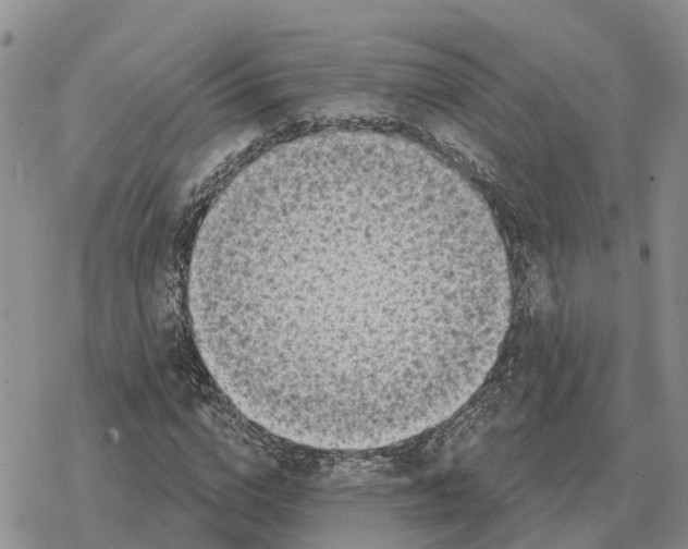 X0000078290824200611251441