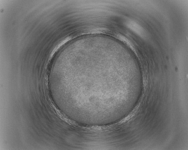 X0000078290827200611251441