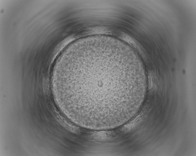 X0000078290828200611251441