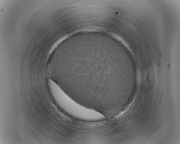 X0000078290829200611251441