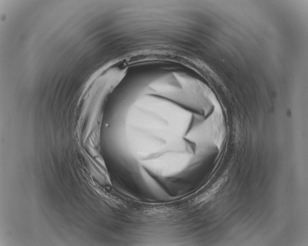 X0000078290830200611251441