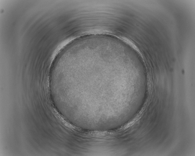 X0000078290831200611251441