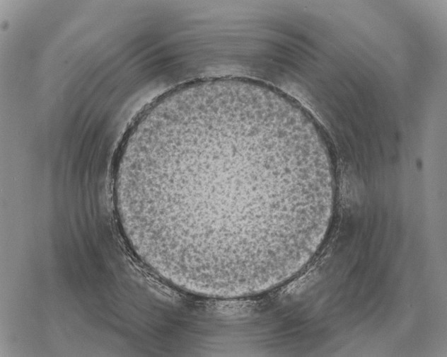 X0000078290832200611251441