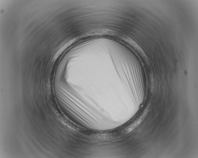 X0000078290834200611251441