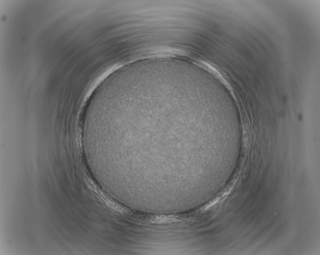 X0000078290835200611251441