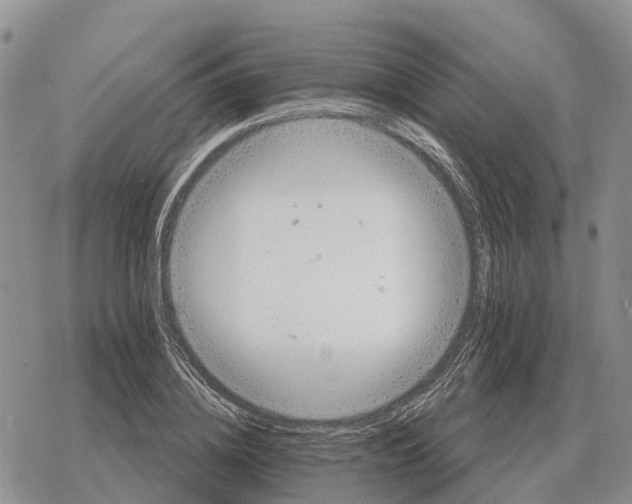 X0000078290836200611251441