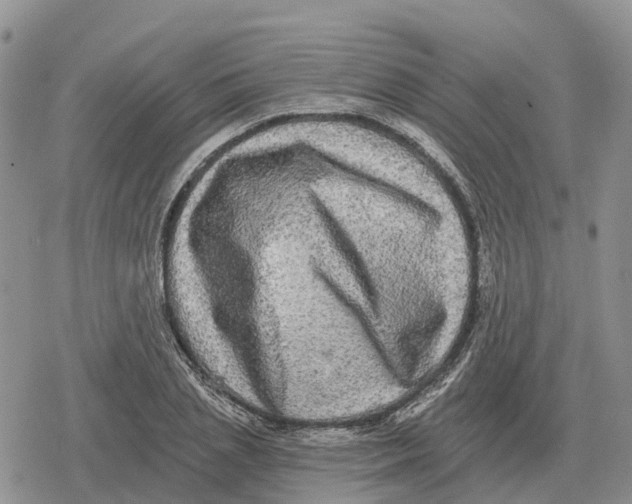 X0000078290837200611251441