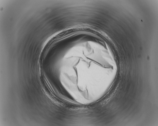 X0000078290838200611251441