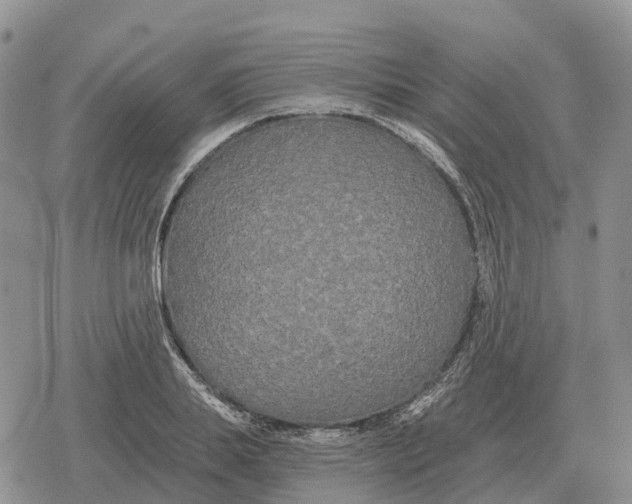 X0000078290839200611251441